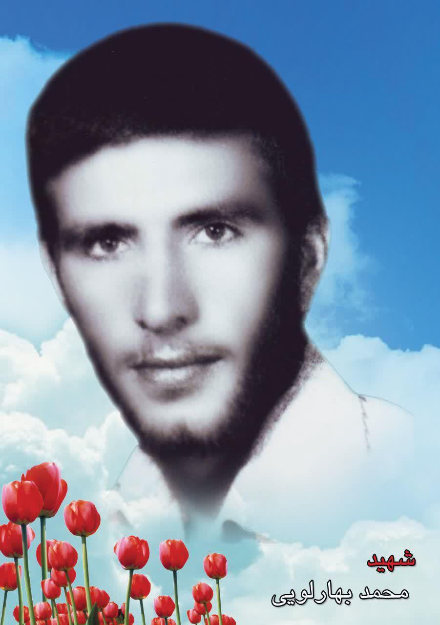 محمد  بهارلوئی قره بلطاقی